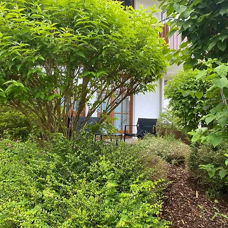 Urlaub In Hochschwarzwald